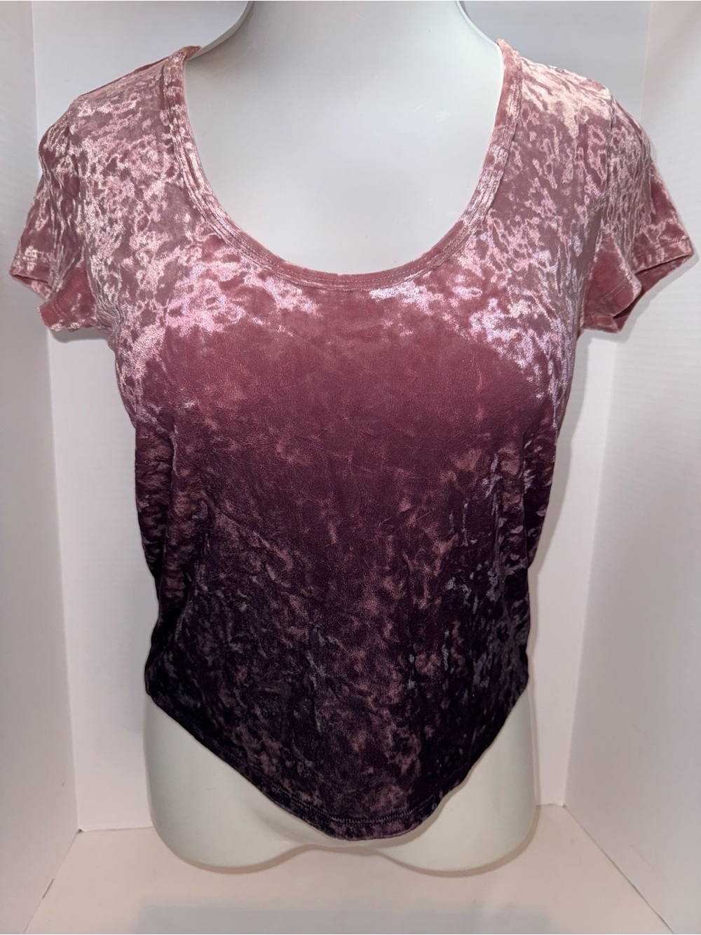 American Eagle Outfitters Pink to Burgundy Crushed Velvet Scoop Tee